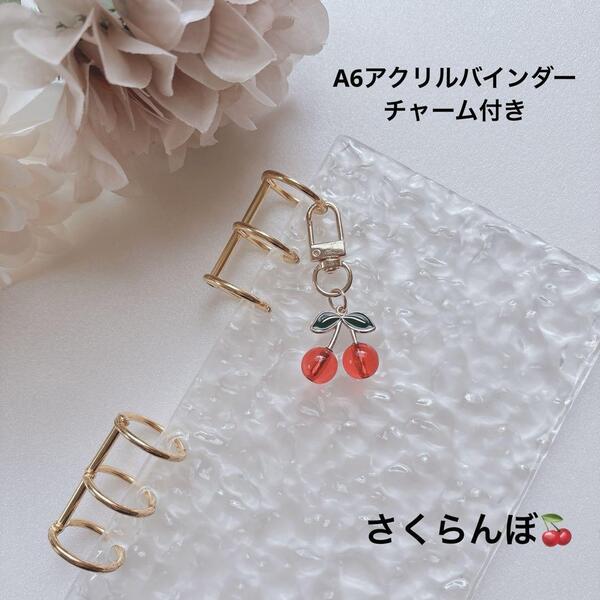 新品 アクリルバインダー A6 家計管理 韓国 バインダー貯金 saving さくらんぼ チェリー *049