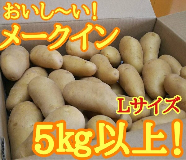 美味しいメークイン!Lサイズ!5㎏以上!