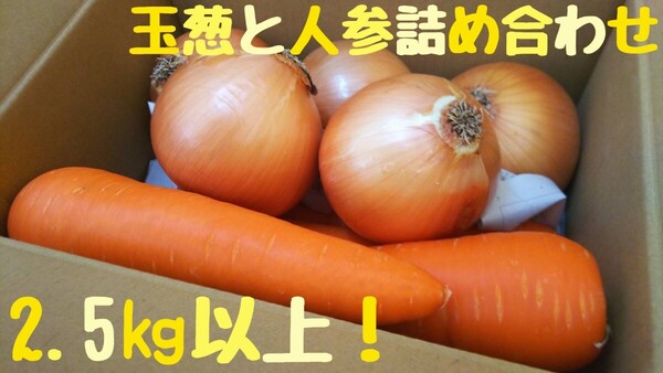 美味しいにんじんと玉葱の詰め合わせ!2.5㎏以上(お届けは新玉ねぎになります)