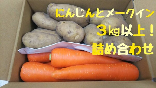 美味しいにんじんとメークイン!3㎏以上!詰め合わせ!