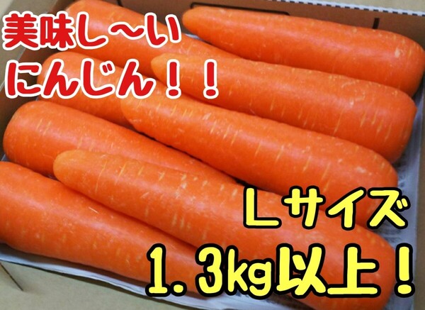 美味しいにんじん!Lサイズ!1.3㎏以上!