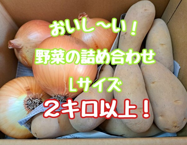 新玉葱とメークインのLサイズ詰め合わせ!2キロ以上!(お届けは新玉ねぎになります!)
