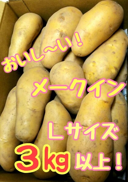 美味しいメークイン!Lサイズ!3㎏以上!