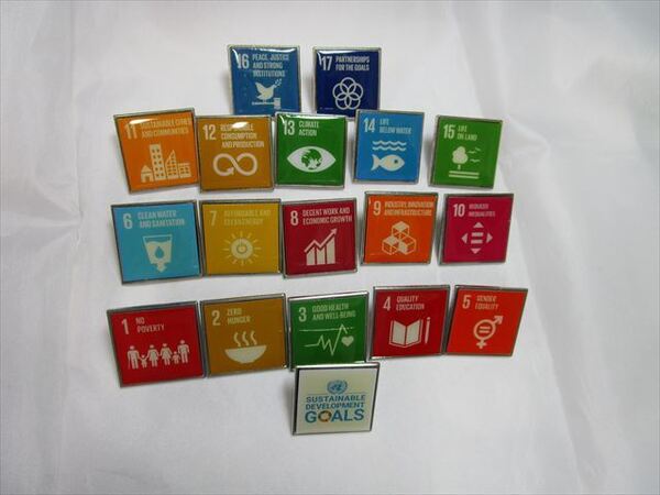 SDGsピンバッジ(国連ブックショップ購入・送料無料)(17個のアイコンピンバッチと1個のSDGsロゴのピンバッチセット)ラバークラスプ素材 N98