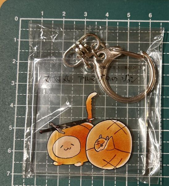 吸血鬼すぐ死ぬ ジョン アクリルキーホルダー 送料無料