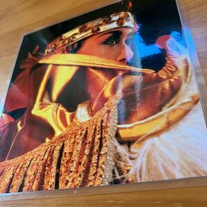 宝塚 月組 涼風真世 写真 カード 9