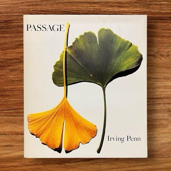 ★洋書 91年初版 Irving Penn / PASSAGE 写真集 アーヴィング・ペン / パッセージ ファッション アート 三宅一生 Vogue 本 インテリア