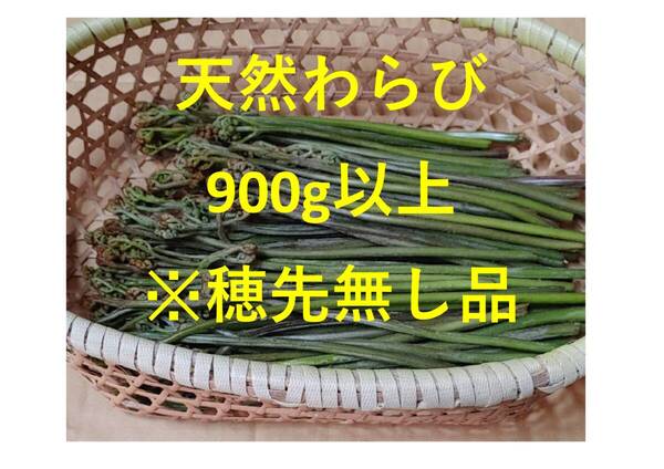 新潟県産の天然のわらび900g(穂先処理品)その7(訳あり)
