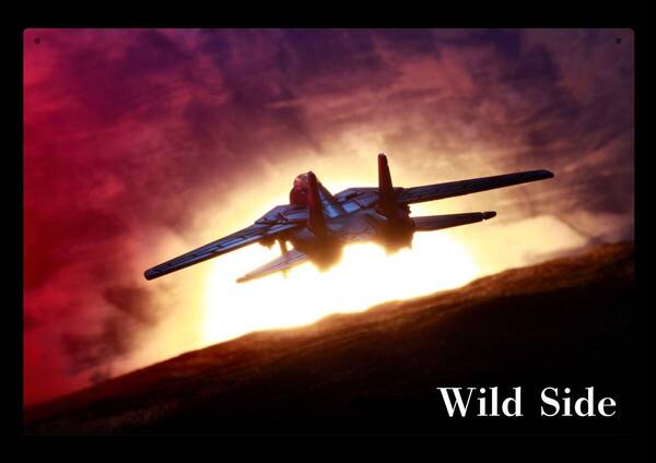 Wild Side / 大型60cm / 戦闘機 / 新品看板 / 送料無料