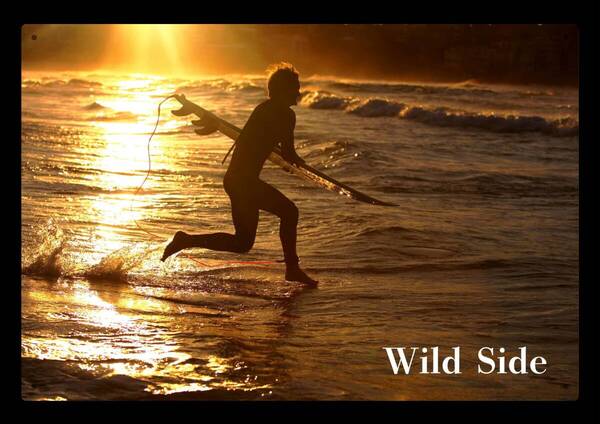 Wild Side / 大型60cm /サーフィン・シリーズ05 新品看板 / 送料無料
