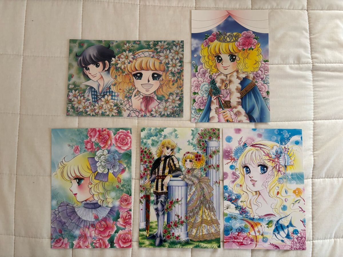 Yahoo!オークション -「card(」(キャンディキャンディ) (か行)の