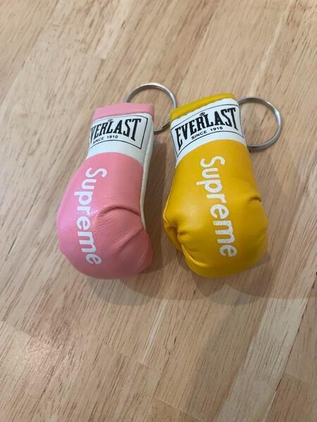 EVERLAST エバーラスト モデル ボクシング ミニチュアグローブ 2個