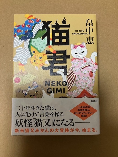 畠中恵直筆サイン&落款入り◆『猫君』初版・帯付き◆直筆サイン本◆しゃばけの作者によるお江戸ファンタジー