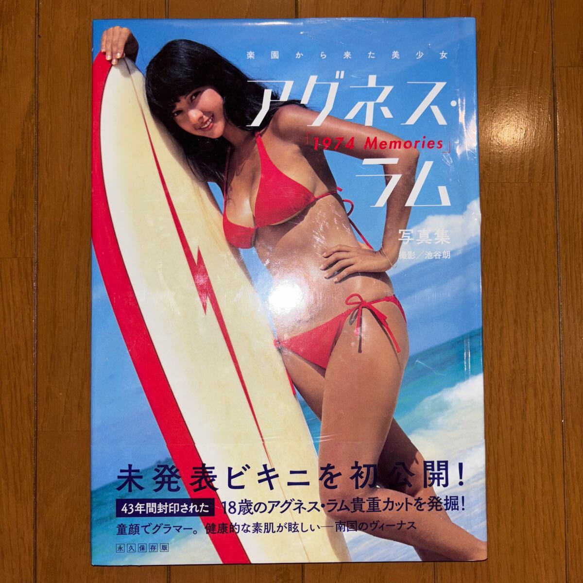 Yahoo!オークション -「アグネス・ラム写真集」の落札相場・落札価格