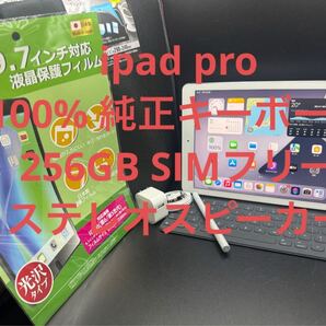 100%256GBSIMフリーiPadpro純正キーボードペンシルケーブルシート