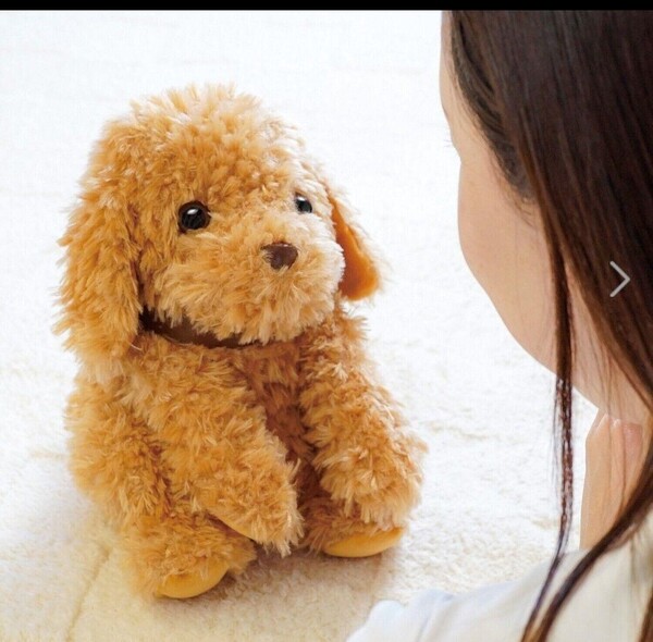 アウトレット商品 音声認識 ぬいぐるみ 【 おしゃべりトイプードル】