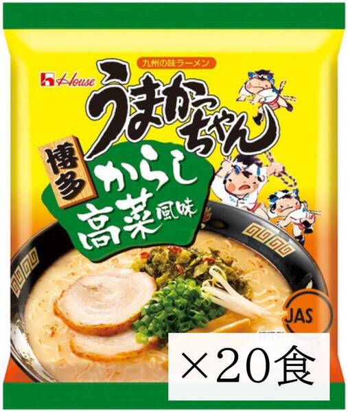 うまかっちゃん 博多からし高菜風味 ラーメン 九州言うたらうまかっちゃん とんこつ 20食 即席麺 インスタント