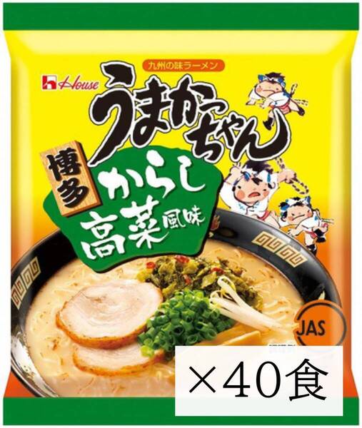 うまかっちゃん 博多からし高菜風味 ラーメン 九州言うたらうまかっちゃん とんこつ 40食 即席麺 インスタント