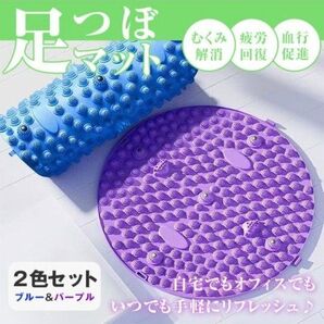 2枚組 2色組 セット 足つぼ 腰痛 磁石 足ツボマット ソフト 疲労解消 ダイエット セルフケア リフレクソロジー 滑り止め 指圧 リフレッシュ