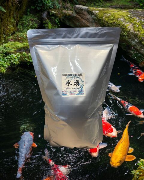 水煩 Mizuwazurai モンモリロナイト粉末 2㎏