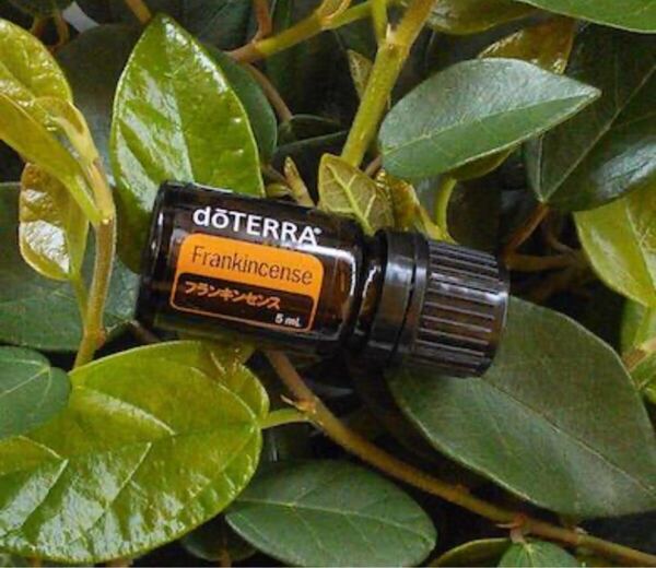 ドテラdoTERRAフランキンセンス5ml
