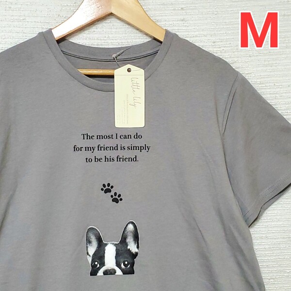 LITTLE LILY リトルリリー Aライン 半袖 Tシャツ 新品 レディース Mサイズ グレー 半袖Tシャツ 犬 ボストンテリア フレンチブルドッグ 綿