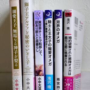 1冊辺り400円 獅子王アルファと秘密のいとし子 /婚約破棄された悪辣オメガは義兄公爵に執着される/獅子王アルファと秘密のいとし子