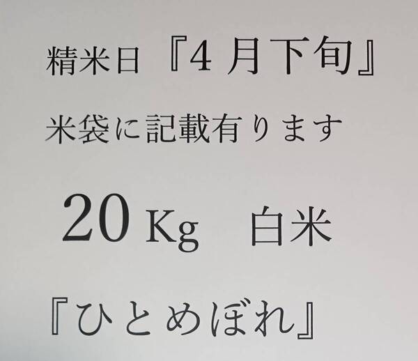 ひとめぼれ 白米20Kg(10Kg×2)掲載写真の商品、精米時期4月下旬~、令和6年度産