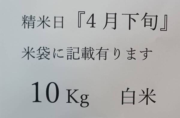 精米日『4月下旬、秋田こまち 白米10Kg』令和6年、アルミ 遮光袋 保存用バッグ(5Kg用一枚)をサービス