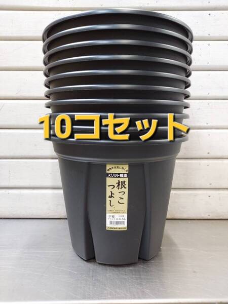 送料無料★セットでお買い得! 植物の生育環境を整えるスリット構造!アップルウエアー 根っこつよし 8号 10P