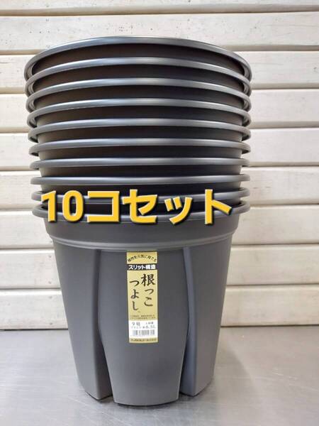 送料無料★セットでお買い得! 植物の生育環境を整えるスリット構造!アップルウエアー 根っこつよし 9号 10P