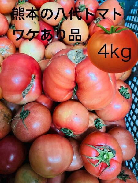 熊本八代のトマト ワケあり品4kg