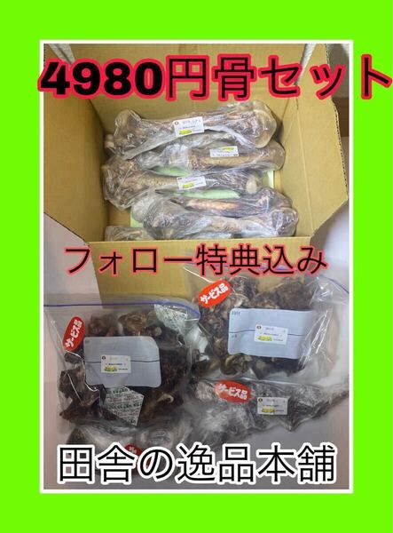 ★中型犬から大型犬用★鹿の骨・詰め合わせ 4980円セット 800g以上 送料無料