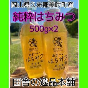 あま〜い♪おかやま産 搾りたて♪はちみつ500g×2 令和7年5月採蜜