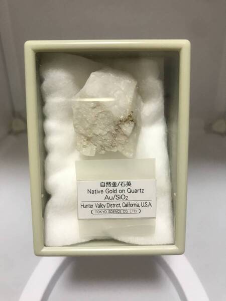 アメリカ産 自然金 母岩付き