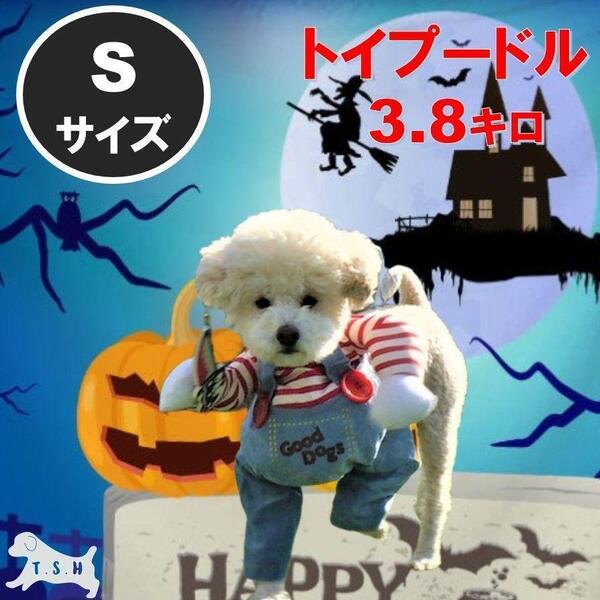 T.S.H 犬用チャッキーコスチューム 【S】 コスプレ衣装 ペット服 コスチューム 仮装 変装 ハロウィン パーティー ドッグウェア 面白い