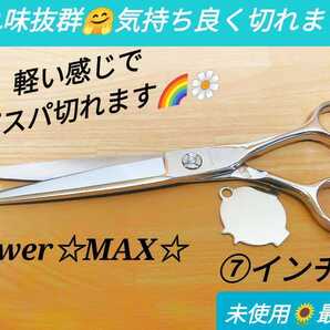 切れ味抜群カットシザープロ用ハサミ美容師はさみサロン用スパスパ気持ち良く切れます理容師カットバサミトリマートリミングシザーペット