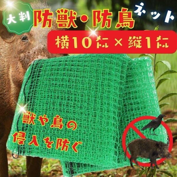 【新品:大判!】防獣 ネット 10m 防鳥 からすよけ 農園 対策 いのしし アニマルネット