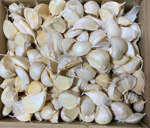 粒にんにく バラにんにく1キロ 青森県産にんにく 中小粒混合 国産にんにく 青森県 にんにく ホワイト六片種にんにく