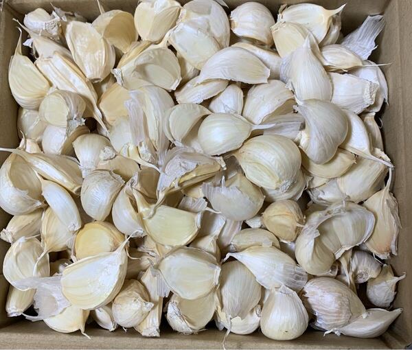 バラにんにく1キロ 青森県産にんにく 国産にんにく ホワイト六片種にんにく 大中小粒混合 厳選にんにく