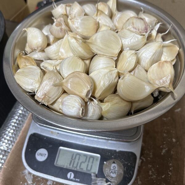 バラにんにく1キロ 青森県産にんにく 国産にんにく ホワイト六片種にんにく 大小粒混合 バラにんにく