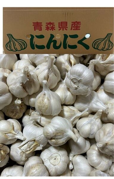 にんにく 訳ありMサイズ2キロ 青森県産 ホワイト六片種にんにく 国産にんにく 青森県産 ニンニク にんにく 青森県産にんにく