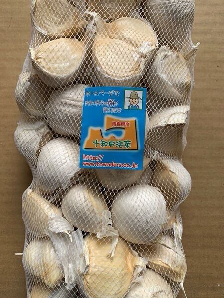 大粒にんにく520g 青森にんにく バラ ホワイト六片種にんにく 国産にんにく 最高級にんにく お徳用 にんにく厳選にんにく