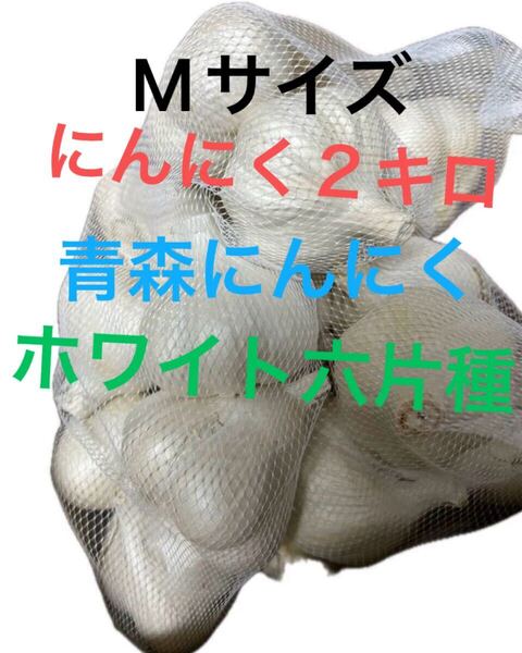 にんにく 青森県産にんにく2キロ ホワイト六片にんにく Lサイズ 訳ありにんにく 発根