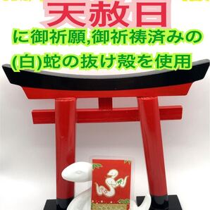 金運上昇 開運 恋愛成就 12干支 巳 白蛇の抜け殻 臨時収入 健康運 子孫繁栄 夫婦円満 白蛇のお守り【天赦日ご祈祷済み】