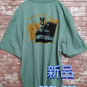 カーハート ルーズフィット バックプリント 半袖Tシャツ ミント US-XL