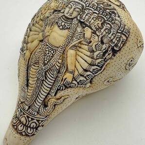 ◆チベット密教法具 法螺貝(シャンカ)ヴィシュヌ