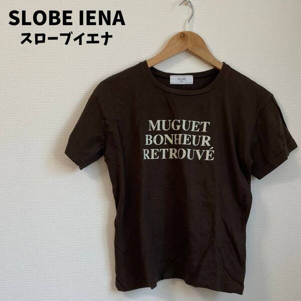 SLOBE IENA スローブイエナ プリント Tシャツ 綿100% 日本製
