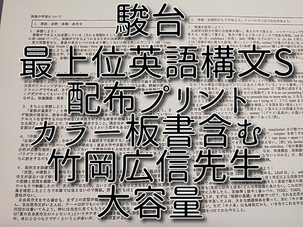 駿台 竹岡広信先生 英語構文S プリントフルセット カラー板書 上位クラス 鉄緑会 河合塾 東進 SEG