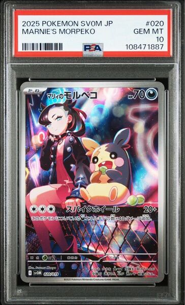 スニダン鑑定【PSA10】マリィのモルペコ AR スターターセットex ポケモンカード ポケモンカードゲーム ポケカ マリィのモルペコ 鑑定品